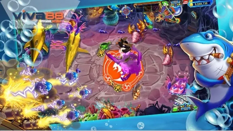 ban-ca-xeng-nhung-dieu-thu-vi